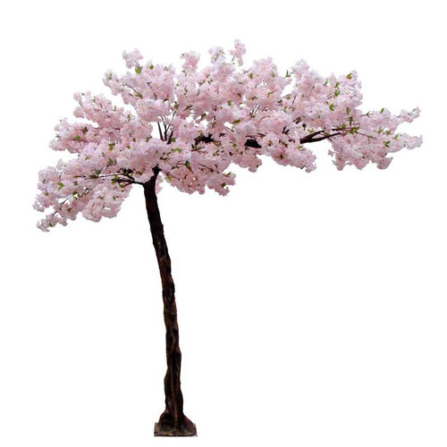 Light Pink Blossom Tree (3.2m) Light Pink Blossom Tree (3.2m)