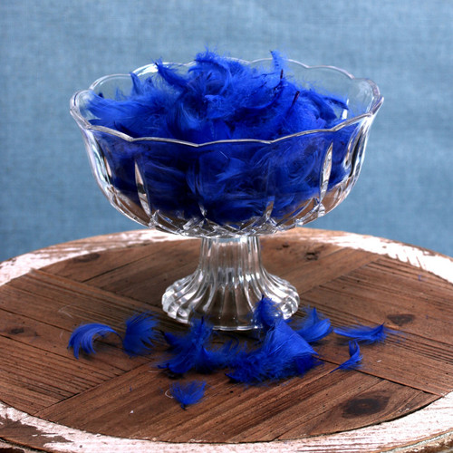 Royal Blue Feathers in Bag (5g) Royal Blue Feathers in Bag (5g)