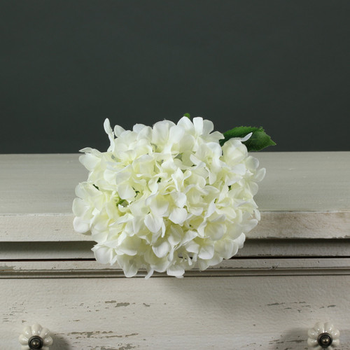 Tintagel Hydrangea White