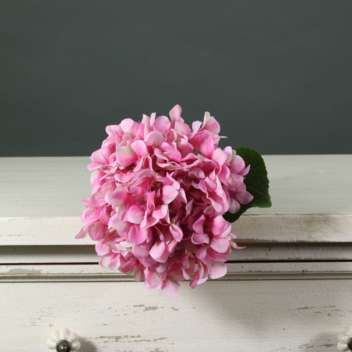 Tintagel Hydrangea Dark Pink Tintagel Hydrangea Dark Pink