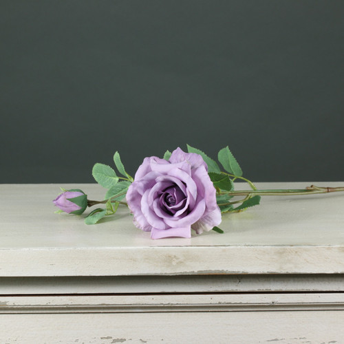 Tintagel Spray Rose Lavender Tintagel Spray Rose Lavender