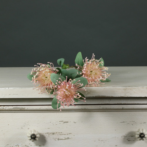 Tintagel Leucospermum Pink Tintagel Leucospermum Pink