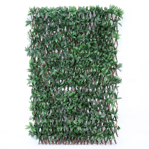 Exterior UV Resistant Expandable Choisya Trellis  Exterior UV Resistant Expandable Choisya Trellis