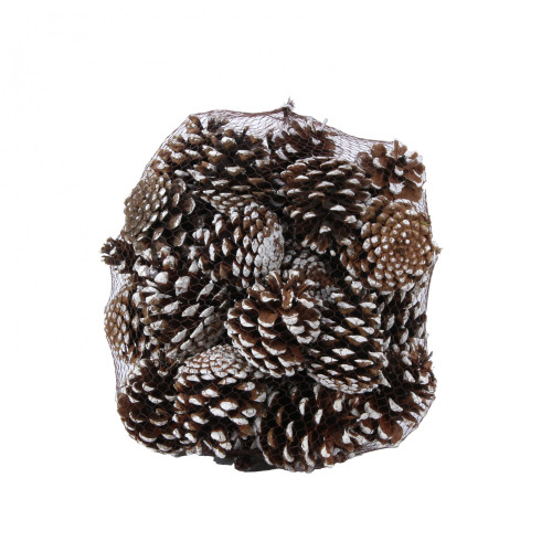 White Tipped Nigra Cones (1kg) White Tipped Nigra Cones (1kg)