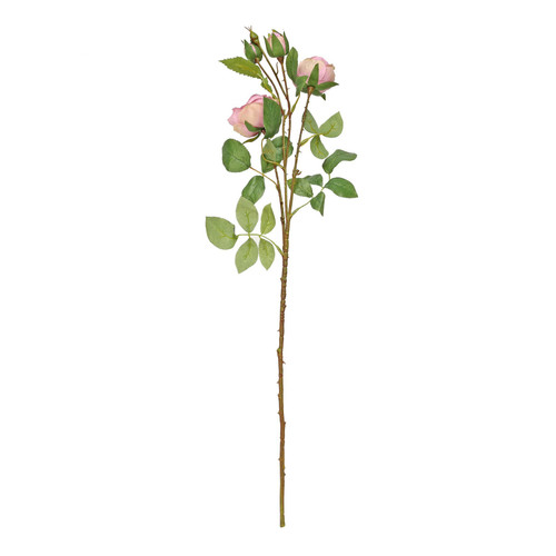 Garden Peony Rose Spray Lavender Garden Peony Rose Spray Lavender
