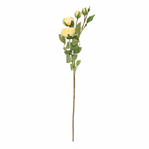 Garden Peony Rose Spray Yellow Garden Peony Rose Spray Yellow