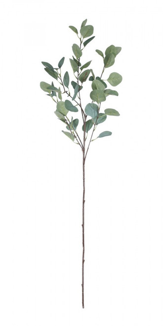 Single Eucalyptus Silver Dollar Stem (90cm)