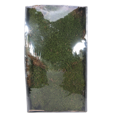 Natural Green Moss with Tray (500gr)