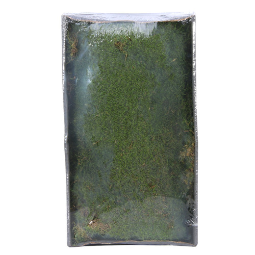 Preserved Green Moss with Tray (500gr) Preserved Green Moss with Tray (500gr)