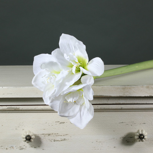 Amaryllis Spray White (60cm)
