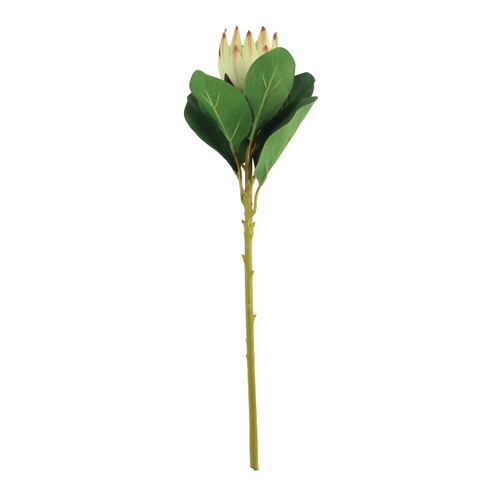 Protea Green Sprays (51cm) Protea Green Sprays (51cm)