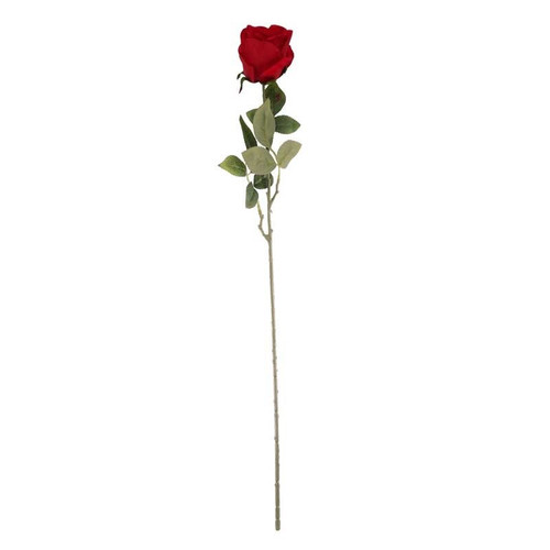 Velvet Red Rose Velvet Red Rose