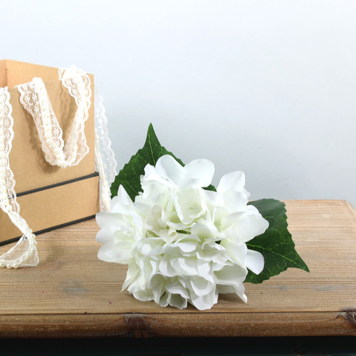 Ivory Arundel Hydrangea