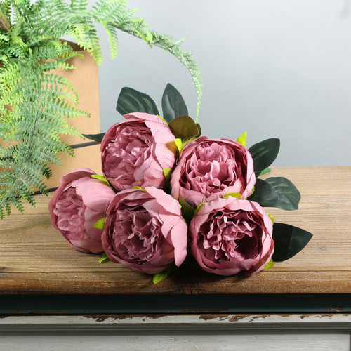 Arundel Peony Bush Dusky Pink Arundel Peony Bush Dusky Pink