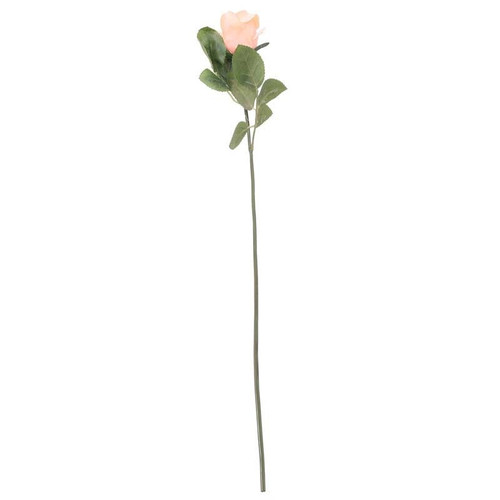 Arundel Rose Bud Peach Arundel Rose Bud Peach