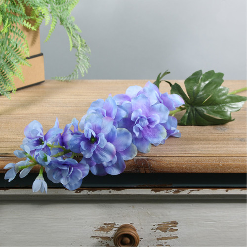 Blue Arundel Garden Delphinium Blue Arundel Garden Delphinium