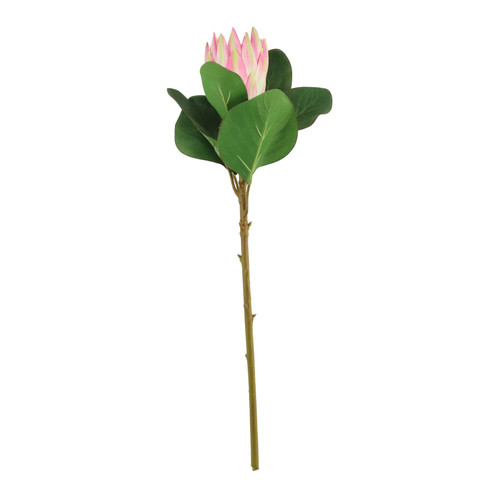 Light Pink Protea Beauty (51cm)