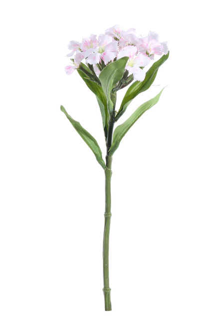 Cream / Pink Dianthus (32cm)