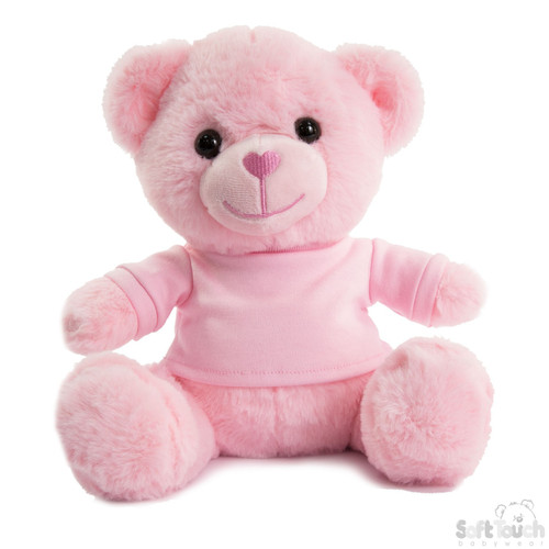 Pink Teddy Bear with T Shirt (25cm)