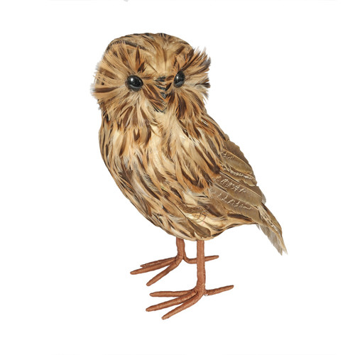 Large Tawny Owl Large Tawny Owl