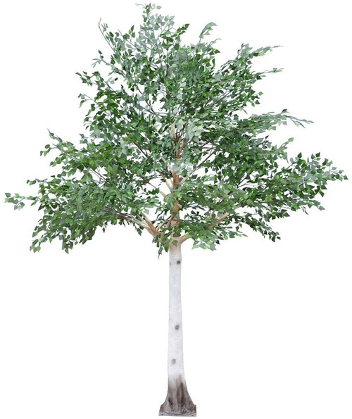 Artificial Silver Birch Tree Green (3.3m) Artificial Silver Birch Tree Green (3.3m)
