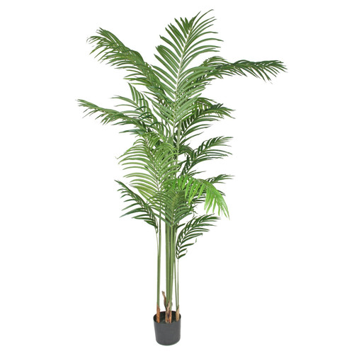 Artificial Kentia Palm in Pot (180cm) Artificial Kentia Palm in Pot (180cm)