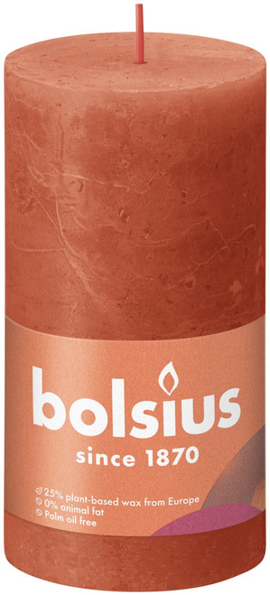 Bolsius Rustic Earthy Orange Shine Pillar Candle (130 x 68mm) Bolsius Rustic Earthy Orange Shine Pillar Candle (130 x 68mm)