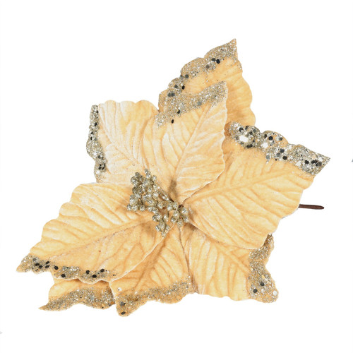Champagne Velvet Poinsettia with Glitter Edge (Dia24cm) Champagne Velvet Poinsettia with Glitter Edge (Dia24cm)
