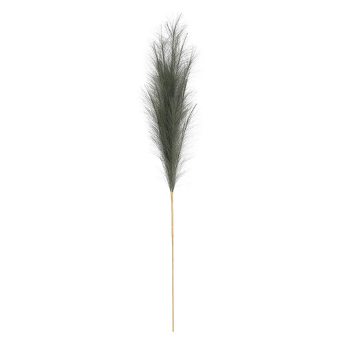 Luxury Pampas Fern Green Luxury Pampas Fern Green