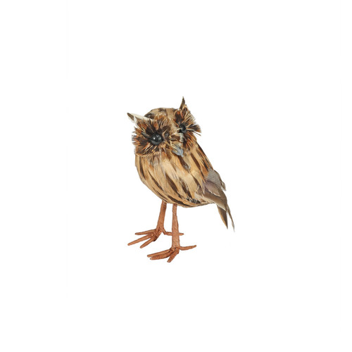 Tawny Owl Small Tawny Owl Small