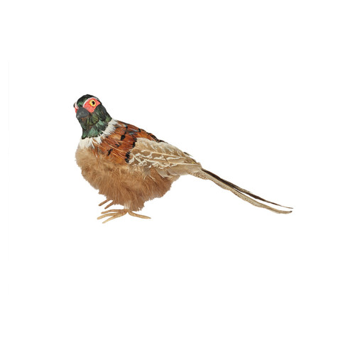 Small Pheasant (H13cm) Small Pheasant (H13cm)