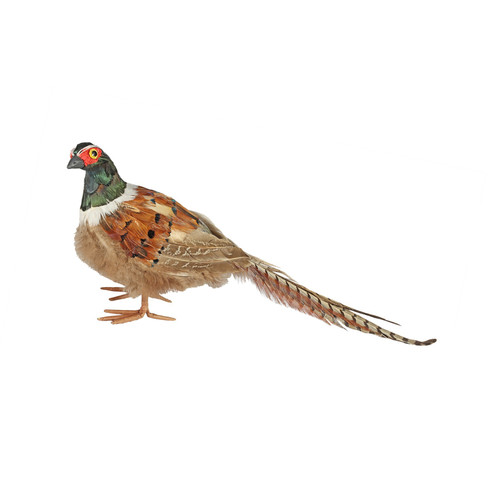 Medium Pheasant (H16cm)