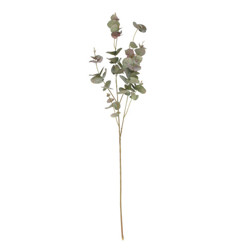 Balmoral Eucalyptus Burgundy & Green (93cm)