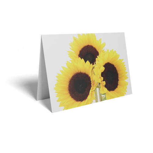 Sunflowers Folded Card with Care Info (pack of 25) Sunflowers Folded Card with Care Info (pack of 25)