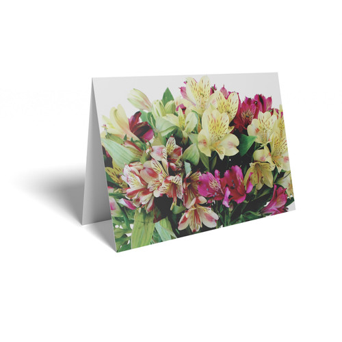 Mixed Colour Alstromera Folded Card with Care Info (pack of 25) Mixed Colour Alstromera Folded Card with Care Info (pack of 25)