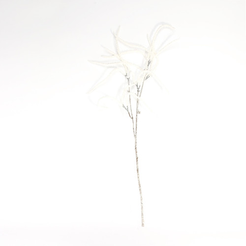 White Willow Spray White Willow Spray
