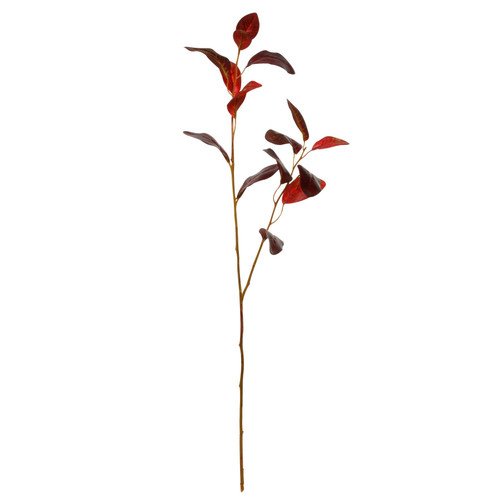 Glamis Eucalyptus Leaves Chocolate Brown (76cm) Glamis Eucalyptus Leaves Chocolate Brown (76cm)