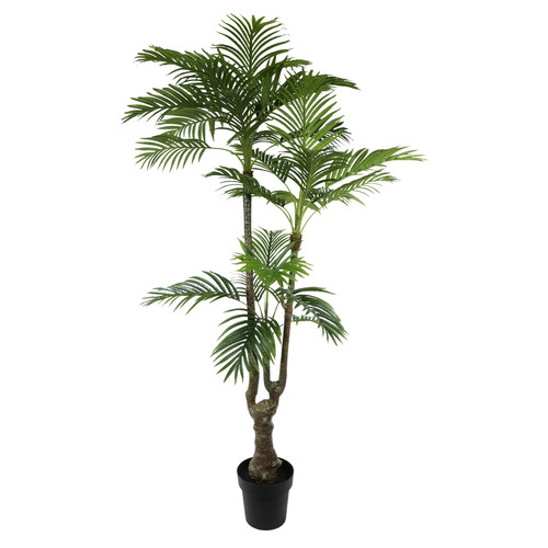 Palm Potted House Plant (175cm) Palm Potted House Plant (175cm)