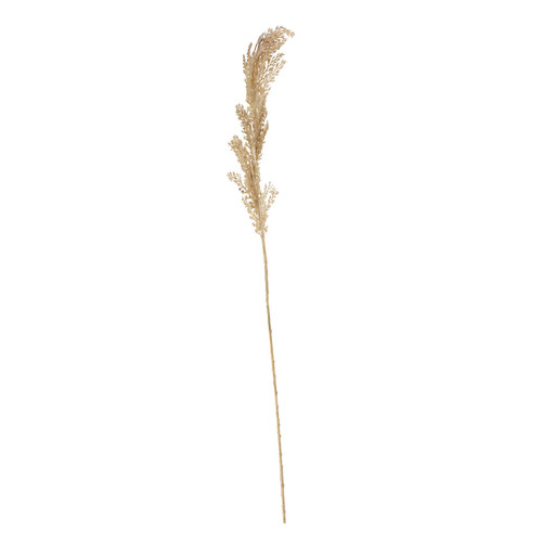 Dry Grass Spray (65cm) Dry Grass Spray (65cm)