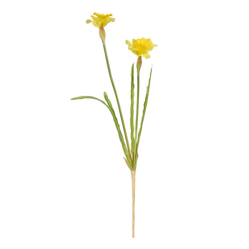 Monet Daffodil Yellow 58cm Monet Daffodil Yellow 58cm