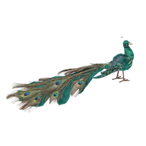Green and Blue Feather Peacock 