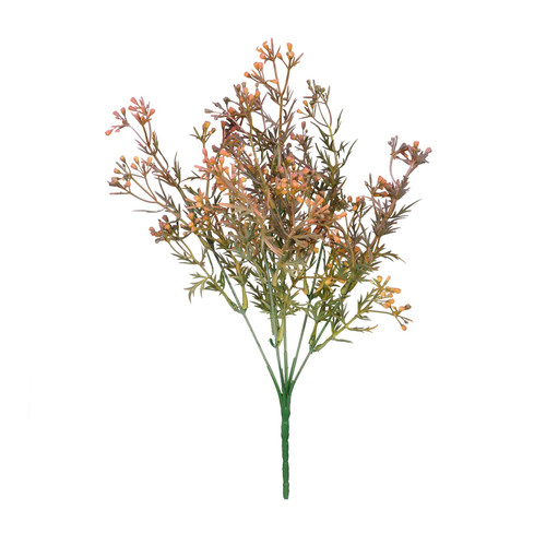 Essential Brown Heather Bud Bush Essential Brown Heather Bud Bush