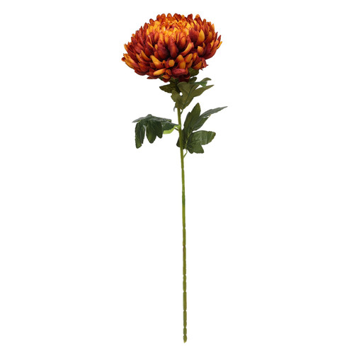 Chrysanthemum Dark Orange Chrysanthemum Dark Orange