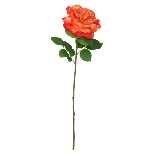Balmoral Wild Rose Orange (65cm) Balmoral Wild Rose Orange (65cm)