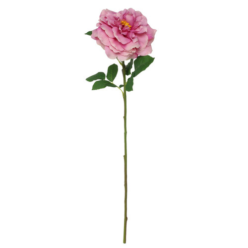 Balmoral Wild Rose Purple (65cm) Balmoral Wild Rose Purple (65cm)