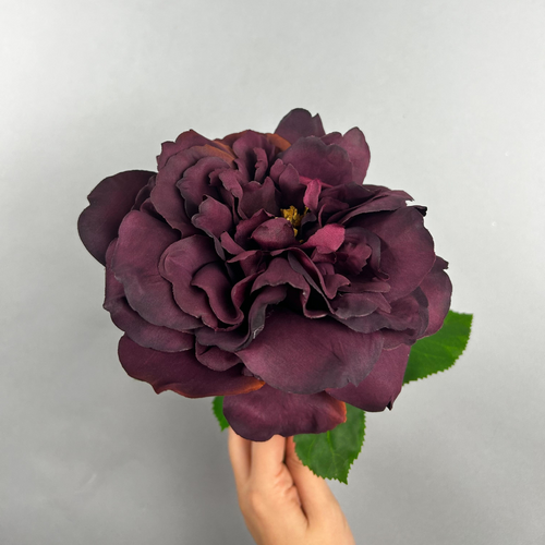 Balmoral Wild Rose Burgundy (65cm) Balmoral Wild Rose Burgundy (65cm)