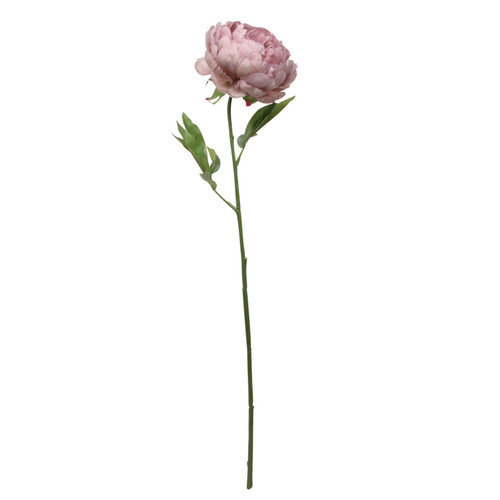 Glamis Single Peony Mauve (62cm) Glamis Single Peony Mauve (62cm)