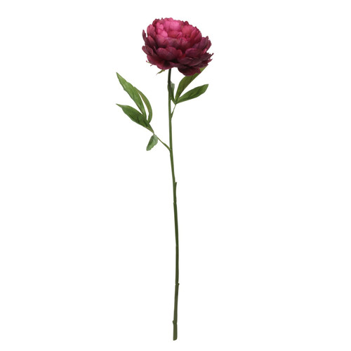 Glamis Single Peony Burgundy (62cm) Glamis Single Peony Burgundy (62cm)