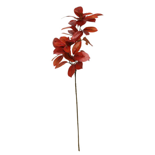 Glamis Citrus Leaves Spray Burgundy (75cm) Glamis Citrus Leaves Spray Burgundy (75cm)