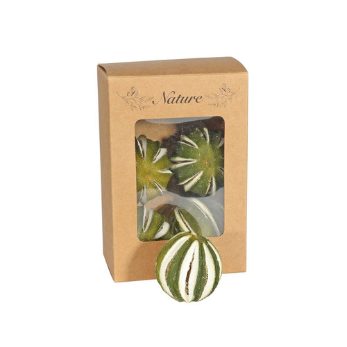 Dried Whole Green Oranges in Box (Pack of 5) Dried Whole Green Oranges in Box (Pack of 5)